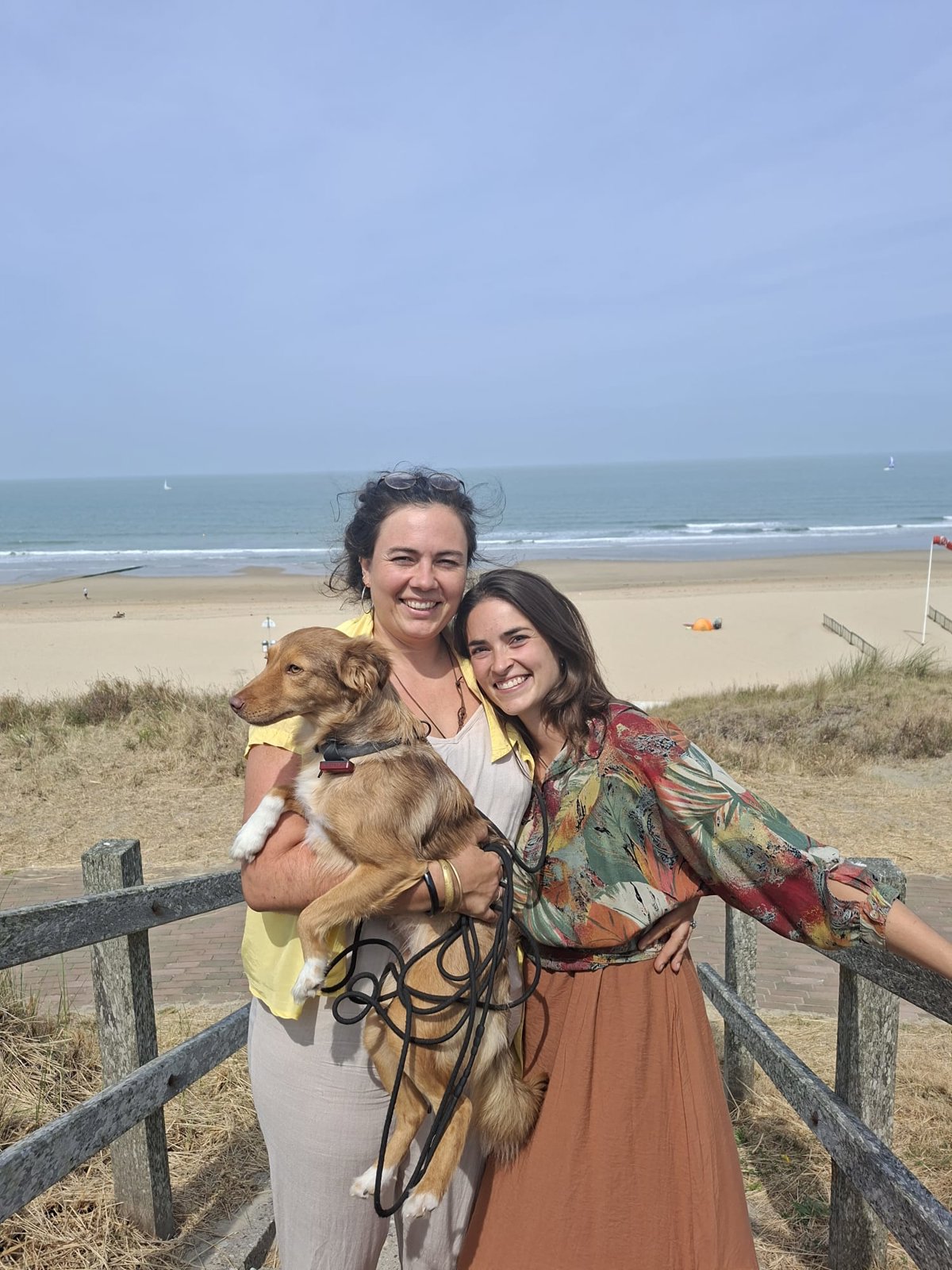 foto van hond